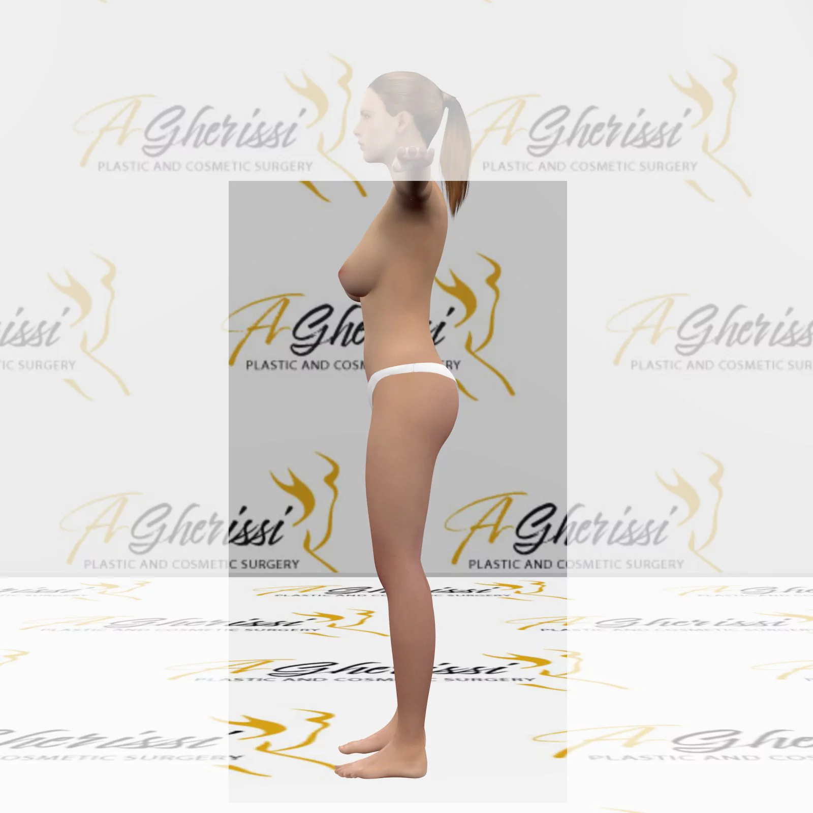 Vue de profil