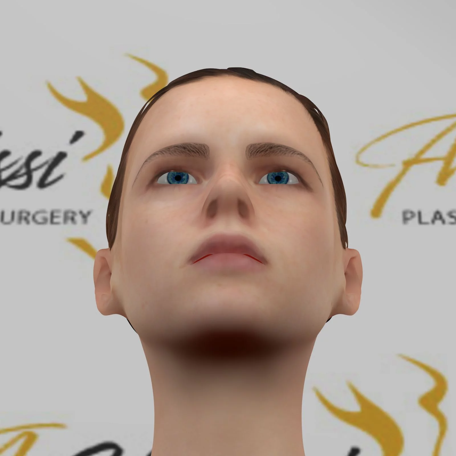 Vue de face en contre-plongé